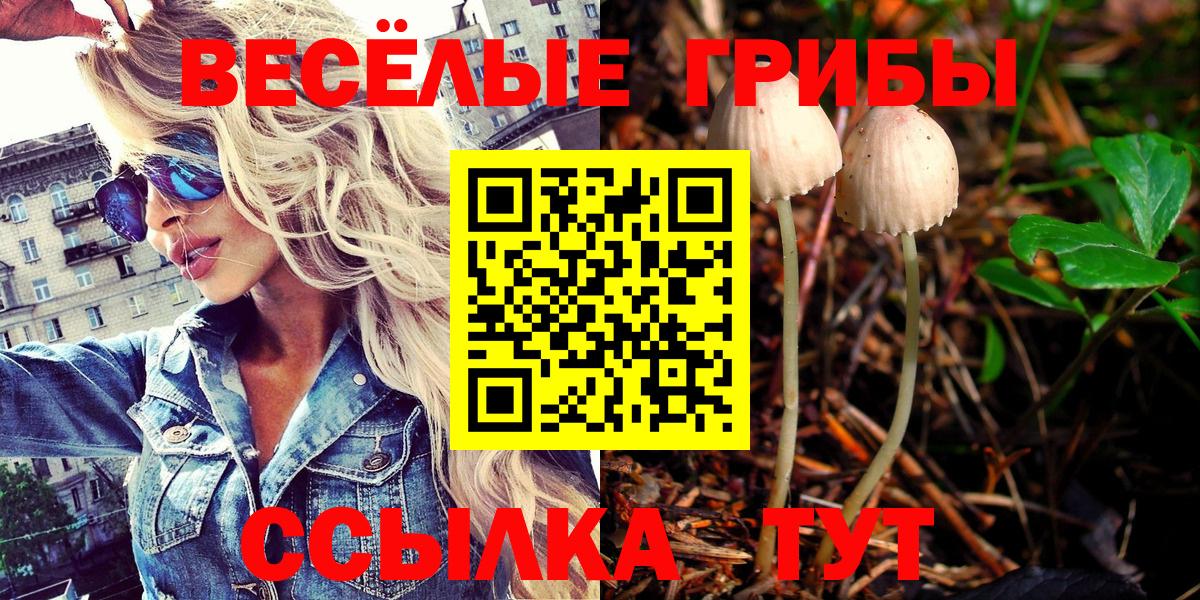 Галлюциногенные грибы мухоморы  Вход с VPN  Бийск  Псилоцибиновые грибы ЛСД 